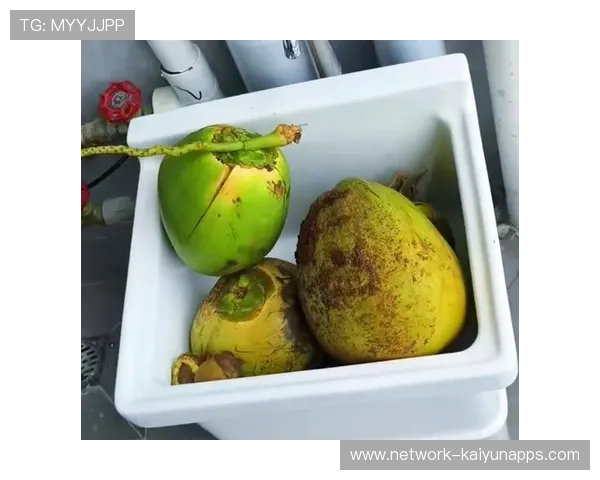 惠州台风后海鲜供应量增，市场迎新机遇，惠州台风最新消息2021年7月台风